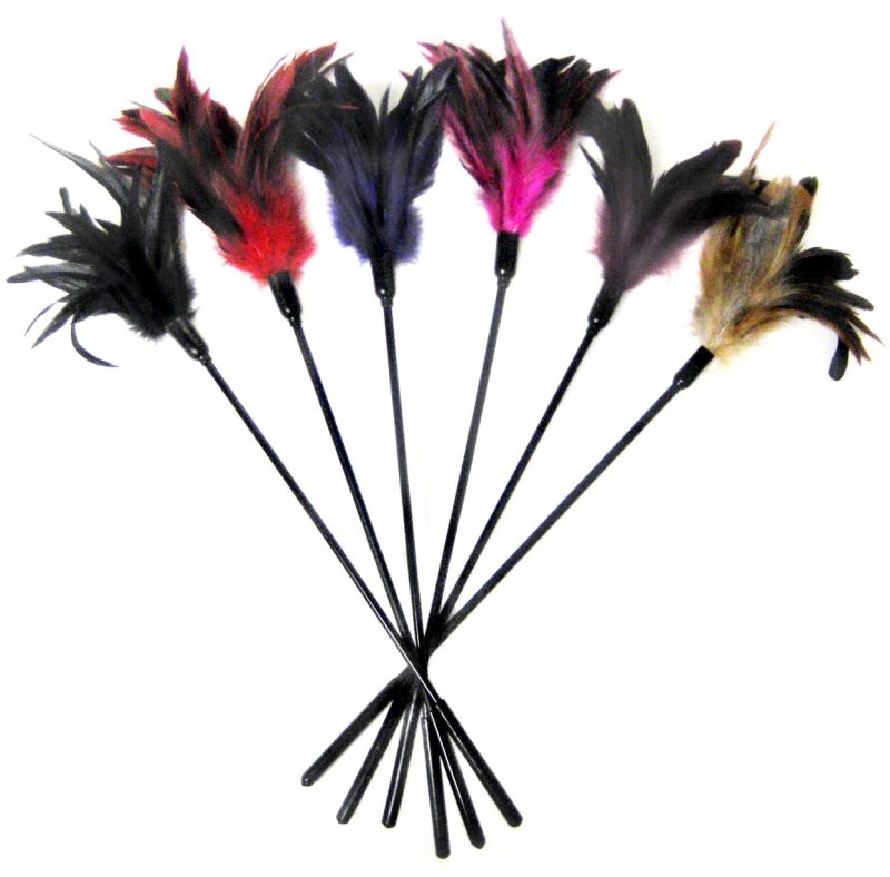 Sportsheets Starburst Feather Ticklers by Lovedreamer