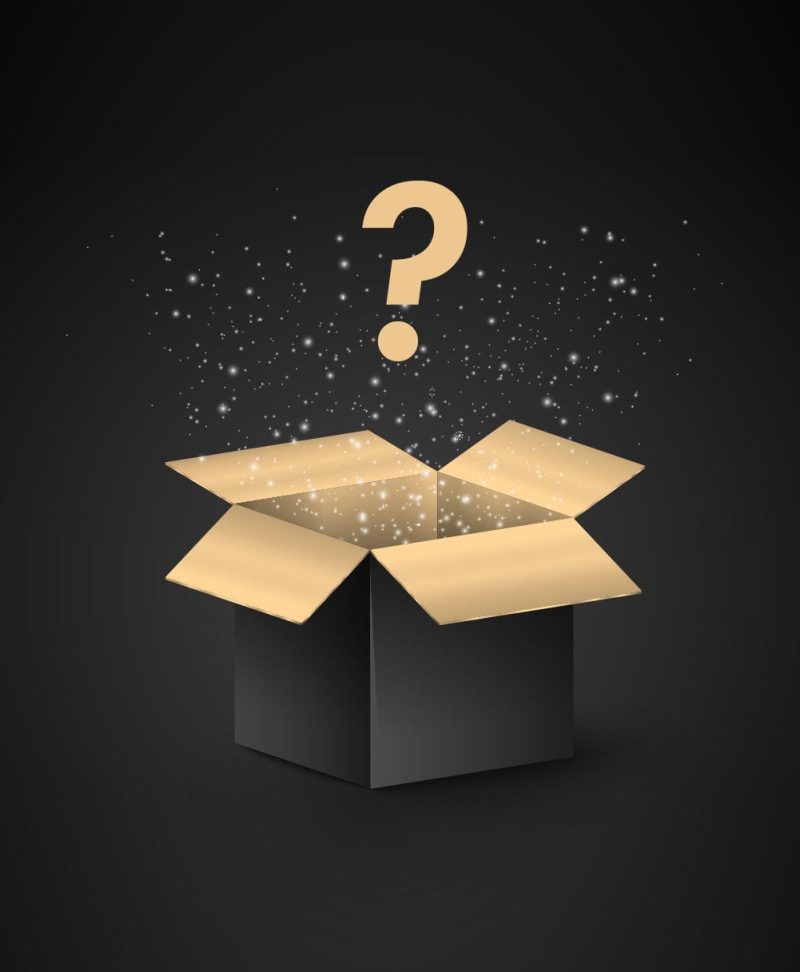 Mystery Gift by Kiiroo BV